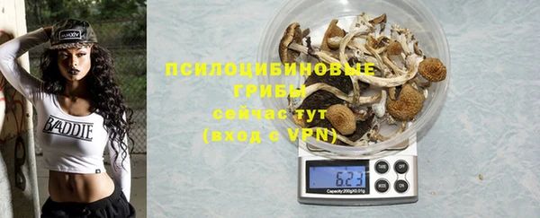 спиды Бугульма