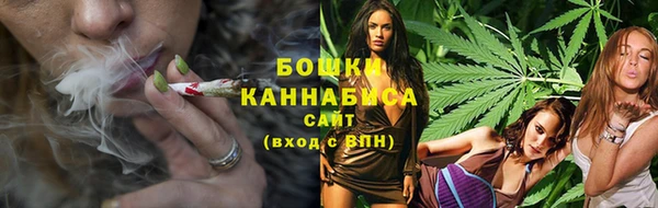 ПСИЛОЦИБИНОВЫЕ ГРИБЫ Бородино