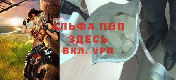 ПСИЛОЦИБИНОВЫЕ ГРИБЫ Бородино