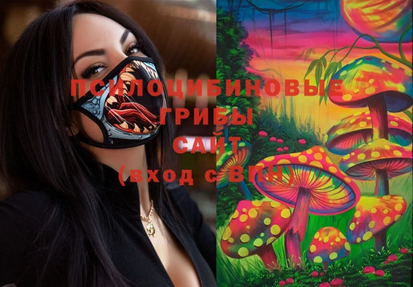 экстази Богородицк